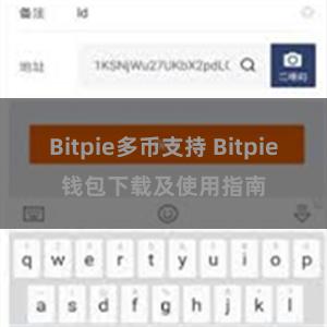 Bitpie多币支持 Bitpie钱包下载及使用指南