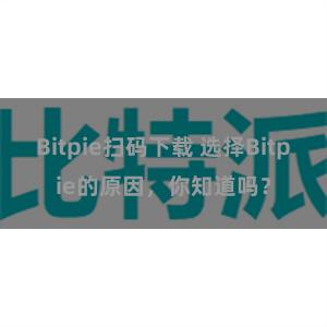 Bitpie扫码下载 选择Bitpie的原因，你知道吗？