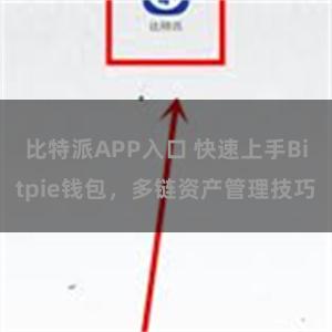 比特派APP入口 快速上手Bitpie钱包，多链资产管理技巧