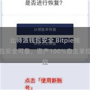 比特派钱包安全 Bitpie钱包安全可靠，资产100%自主掌控