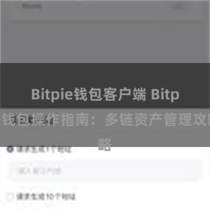 Bitpie钱包客户端 Bitpie钱包操作指南：多链资产管理攻略