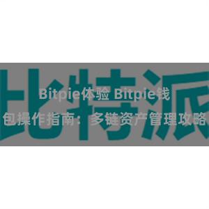 Bitpie体验 Bitpie钱包操作指南：多链资产管理攻略