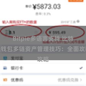 Bitpie多语言支持 比特派钱包多链资产管理技巧：全面攻略