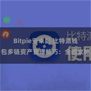 Bitpie安卓版 比特派钱包多链资产管理技巧：全面攻略