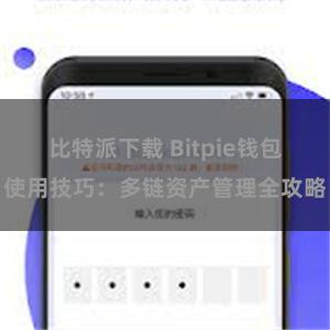 比特派下载 Bitpie钱包使用技巧：多链资产管理全攻略