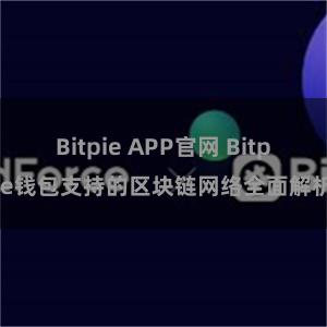 Bitpie APP官网 Bitpie钱包支持的区块链网络全面解析