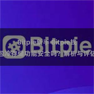 Bitpie新手 Bitpie钱包冷存储功能安全吗？解析与评估