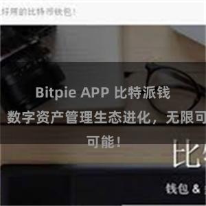 Bitpie APP 比特派钱包：数字资产管理生态进化，无限可能！