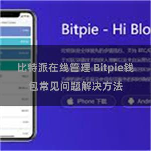 比特派在线管理 Bitpie钱包常见问题解决方法