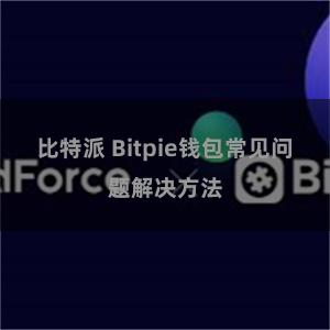 比特派 Bitpie钱包常见问题解决方法