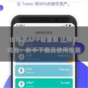 比特派APP轻量版 比特派钱包：新手下载及使用指南