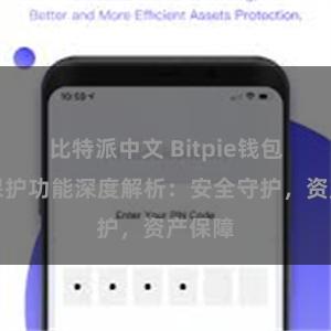 比特派中文 Bitpie钱包隐私保护功能深度解析：安全守护，资产保障