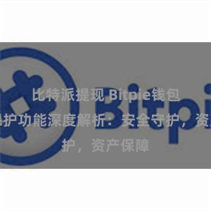 比特派提现 Bitpie钱包隐私保护功能深度解析：安全守护，资产保障