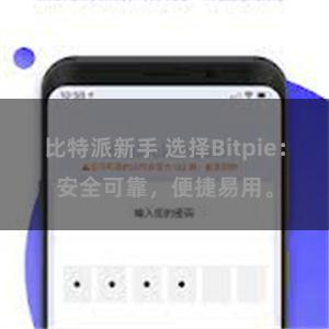 比特派新手 选择Bitpie：安全可靠，便捷易用。