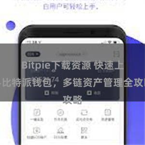 Bitpie下载资源 快速上手比特派钱包，多链资产管理全攻略