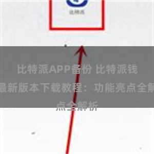 比特派APP备份 比特派钱包最新版本下载教程：功能亮点全解析