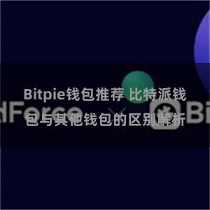 Bitpie钱包推荐 比特派钱包与其他钱包的区别解析