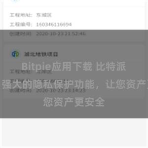 Bitpie应用下载 比特派钱包：强大的隐私保护功能，让您资产更安全