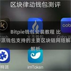 Bitpie钱包安装教程 比特派钱包支持的主要区块链网络解析