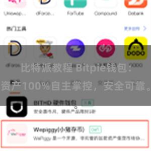 比特派教程 Bitpie钱包：资产100%自主掌控，安全可靠。