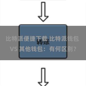 比特派便捷下载 比特派钱包 VS 其他钱包：有何区别？