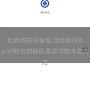 比特派在线客服 比特派(Bitpie)钱包的团队背景与技术实力