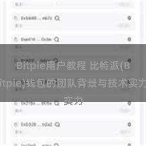 Bitpie用户教程 比特派(Bitpie)钱包的团队背景与技术实力