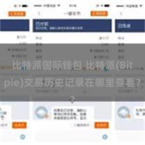 比特派国际钱包 比特派(Bitpie)交易历史记录在哪里查看？