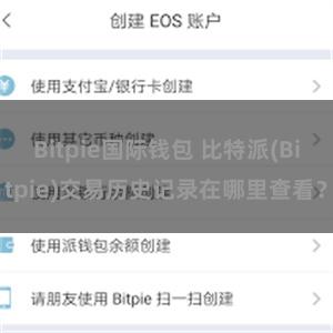 Bitpie国际钱包 比特派(Bitpie)交易历史记录在哪里查看？