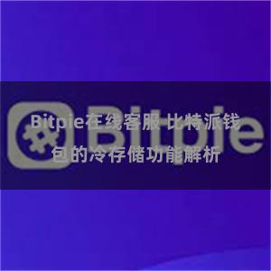 Bitpie在线客服 比特派钱包的冷存储功能解析