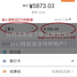 比特派教程下载 比特派(Bitpie)钱包适合何种用户？