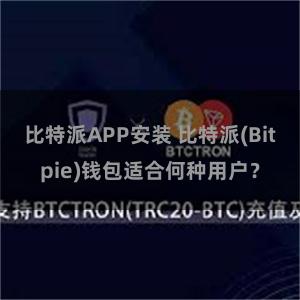 比特派APP安装 比特派(Bitpie)钱包适合何种用户？